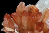 Natural, Red Quartz Crystal Cluster - Morocco #88902-2